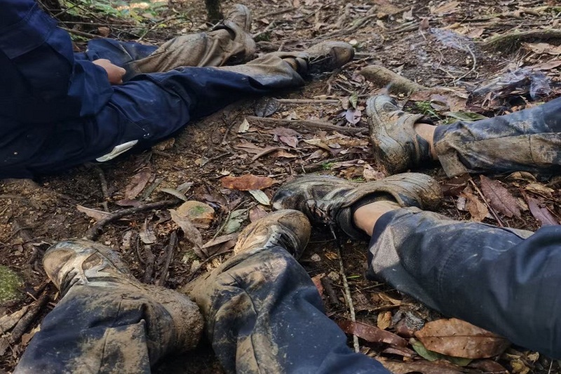 图片 0.png 图片 0.png