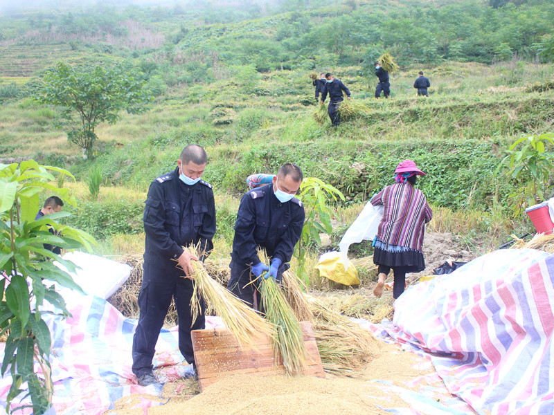 图片 1.png 图片 1.png