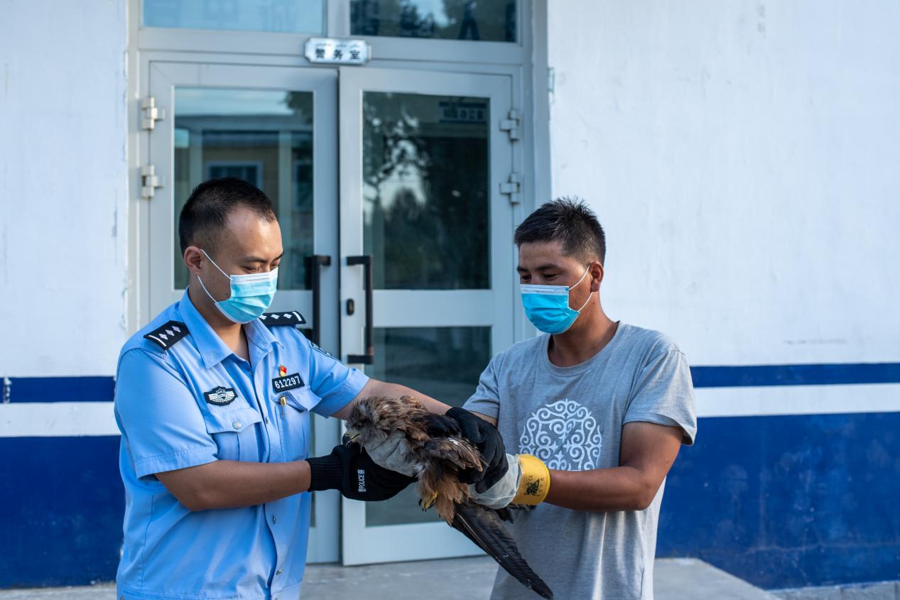 图片 1.png 图片 1.png