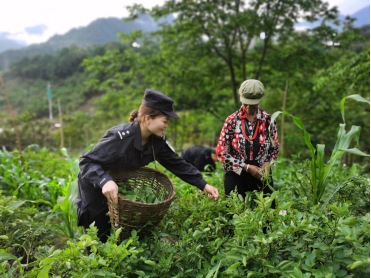 图片 1.png 图片 1.png