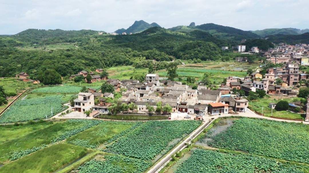 法治.jpg 法治.jpg