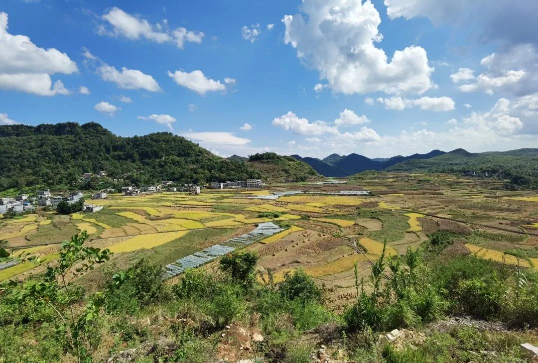 新闻3-1.jpg