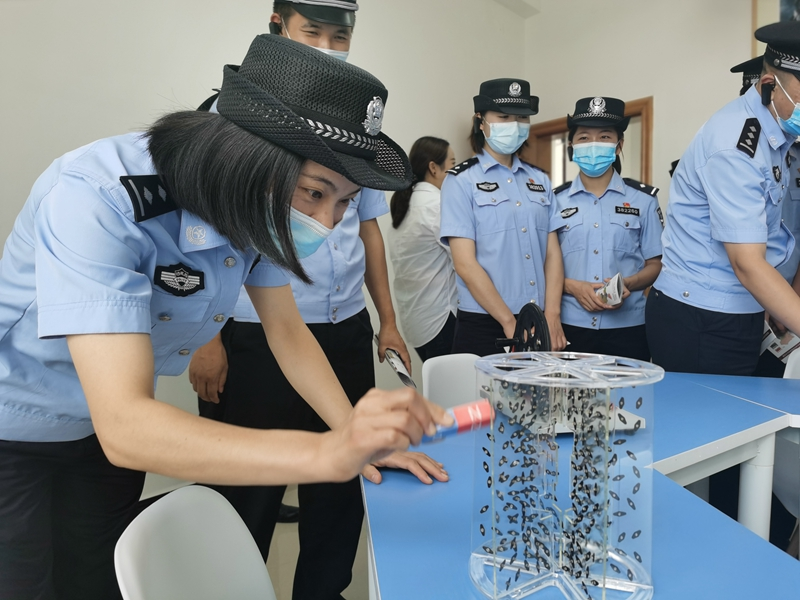 图片 5.png 图片 5.png