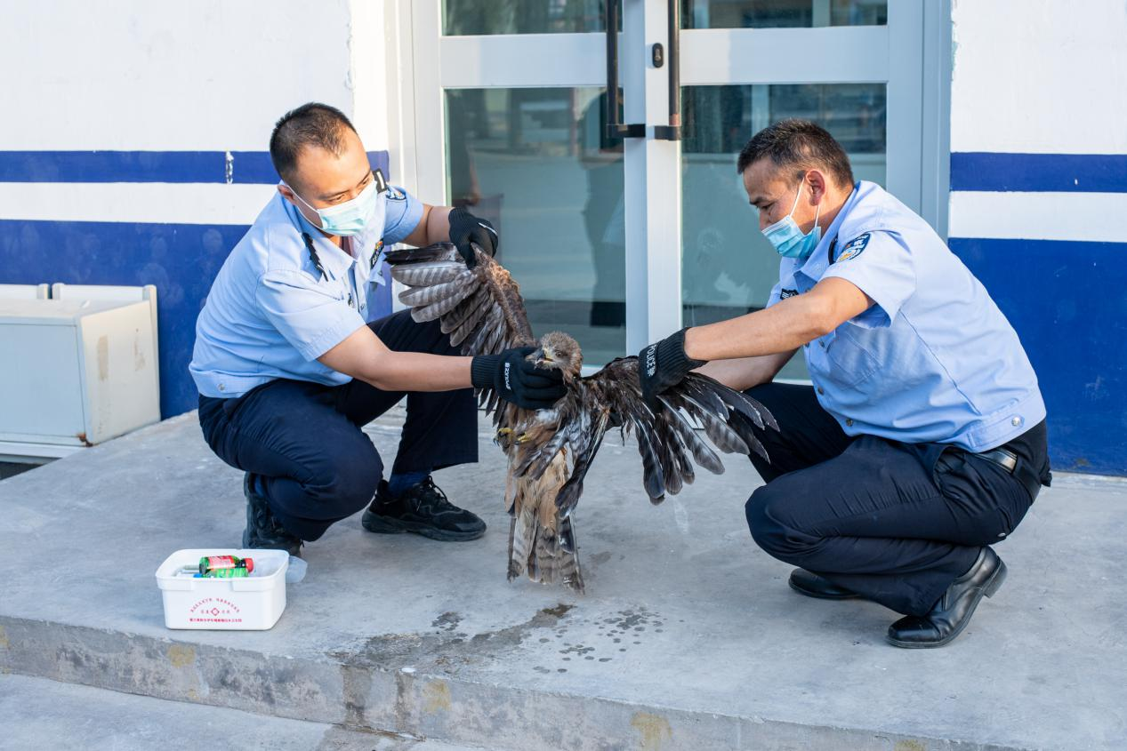 图片 2.png 图片 2.png