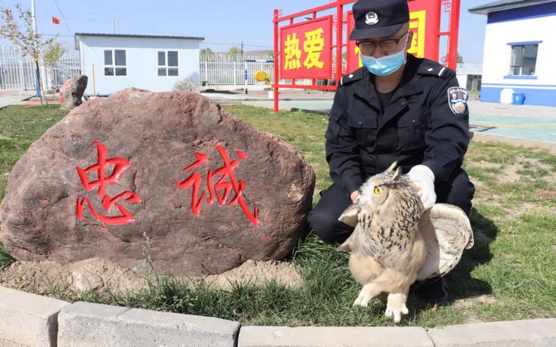 图片 1.png 图片 1.png