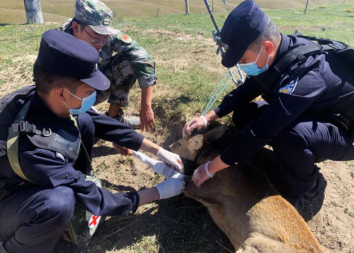 图片1.png 图片1.png