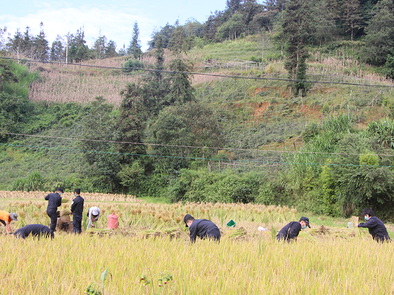 图片 1.png 图片 1.png