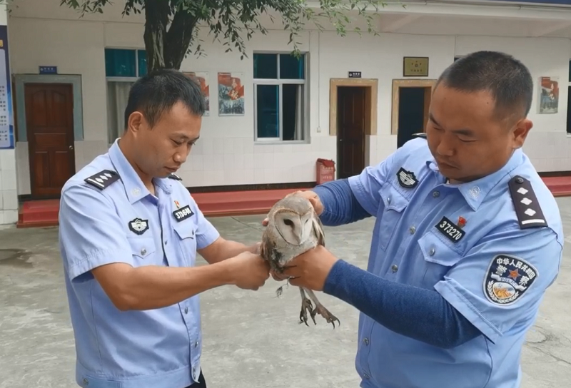 图片 3.png 图片 3.png