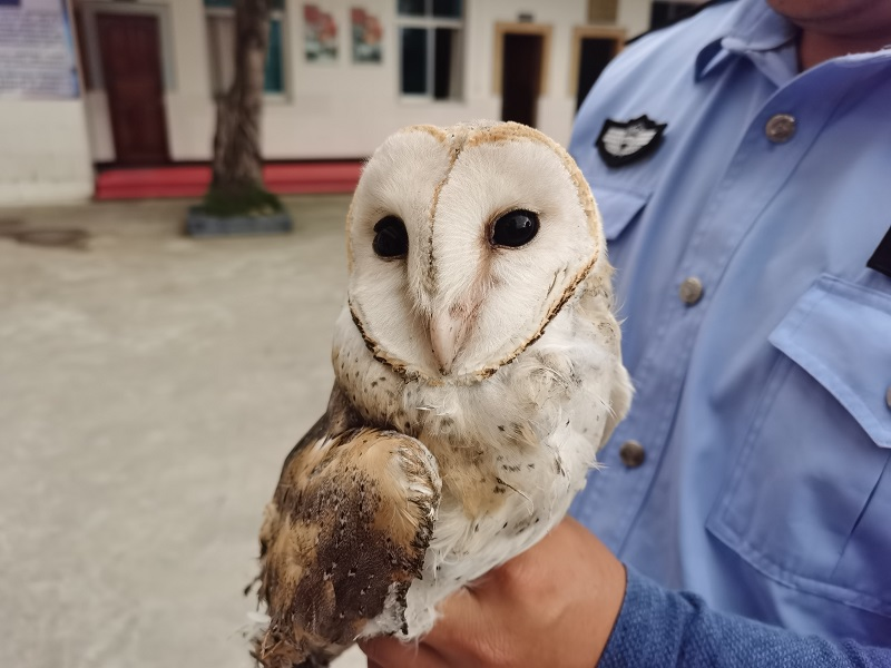 图片 2.png 图片 2.png