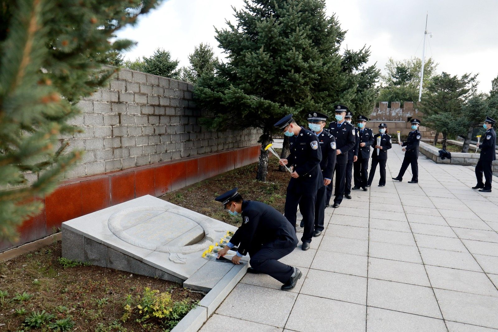 图片 11.jpg 图片 11.jpg