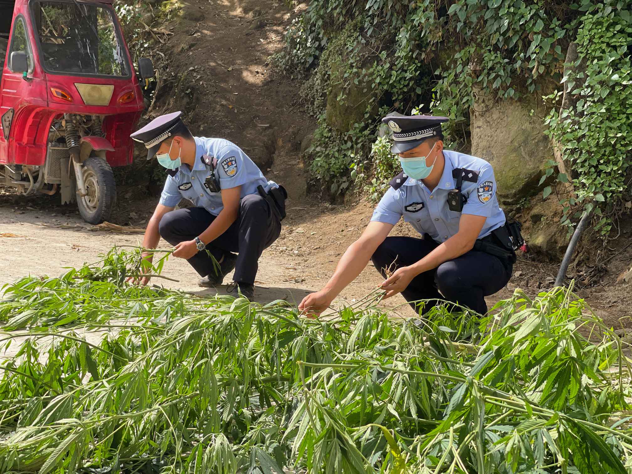 图片3(1).jpg 图片3(1).jpg