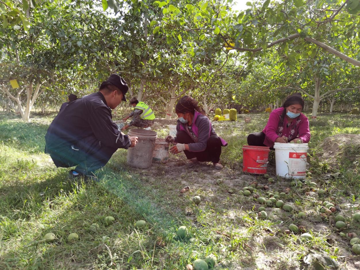 图片 2.jpg 图片 2.jpg