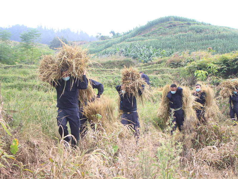 图片 3.png 图片 3.png