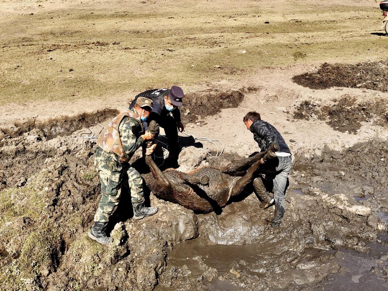 图片1.jpg 图片1.jpg