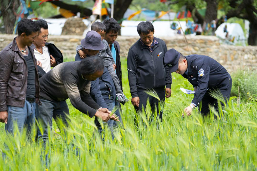 图片4.png 图片4.png