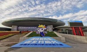 全国乡村振兴职业技能大赛开赛！