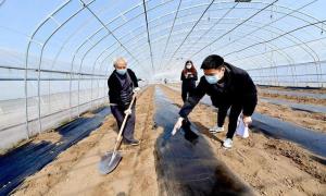 北京通州：科技小院“夏收”为村里增收8万元