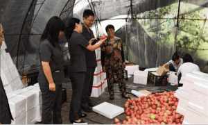 吉林四平铁西法院基层普法 助力农民丰收节