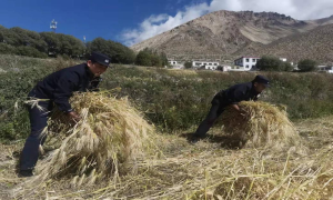 驻地群众有困难  移民警察显真情