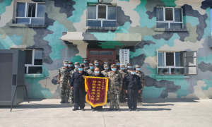 两牛深陷排水沟 移民警察迅速救援