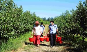 大西沟边境派出所：普法到田间 助农到一线