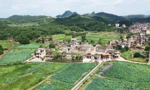 古村落保护穿上“法治新外衣”