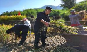 深入田间把活干 为民解忧保秋收