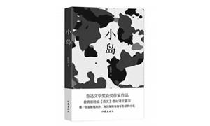 《小岛》：中国海魂的诗意书写
