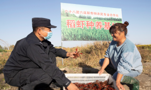 及时解民忧 警民鱼水情