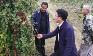 吉林抚松：法院慰问脱贫群众 助力乡村振兴