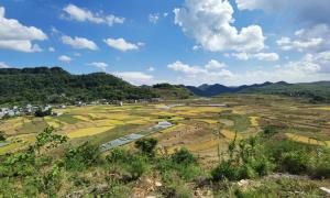 求是教育乡村振兴生态产业孵化器落地贞丰县这艾村