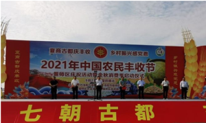 河南洛阳：党建引领聚合力 乡村振兴焕生机