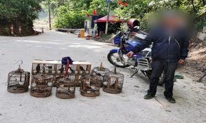 云南文山:男子肆无忌惮遛15只画眉鸟,被巡逻民警当场查获