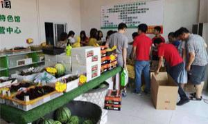电商服务进乡村打通群众致富路
