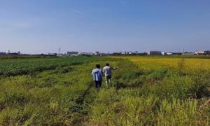 吉林伊通：法官进田间 现场勘查化纠纷