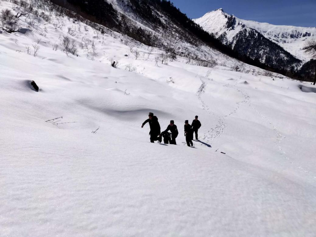 图片 3.png 图片 3.png