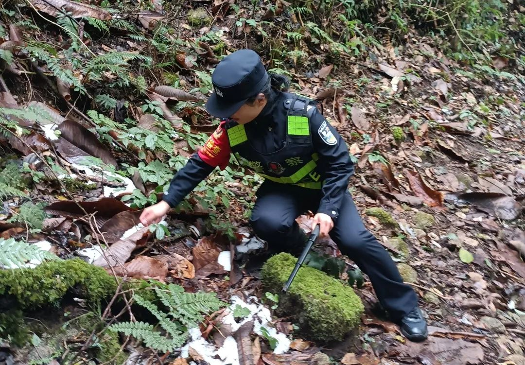 图片 7.png 图片 7.png