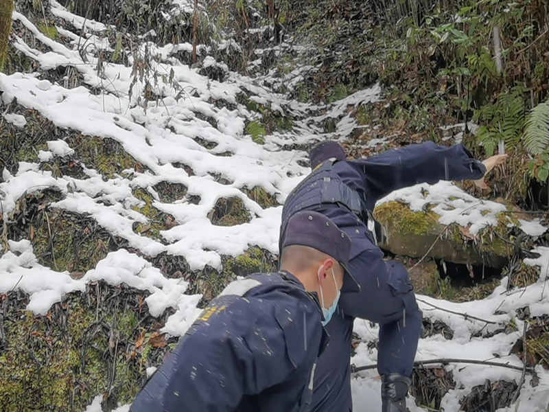 图片 6.png 图片 6.png