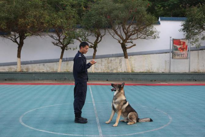 图片 2.png 图片 2.png