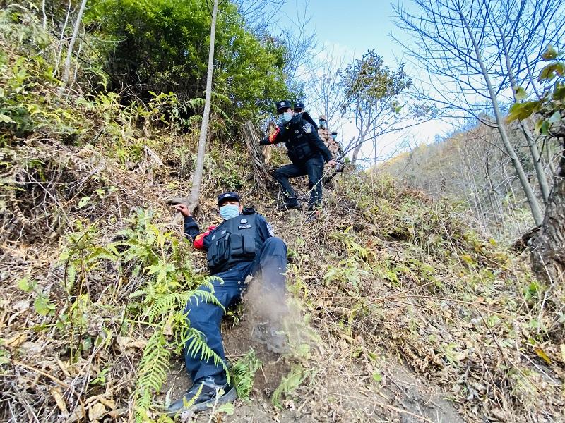 图片 4.png 图片 4.png