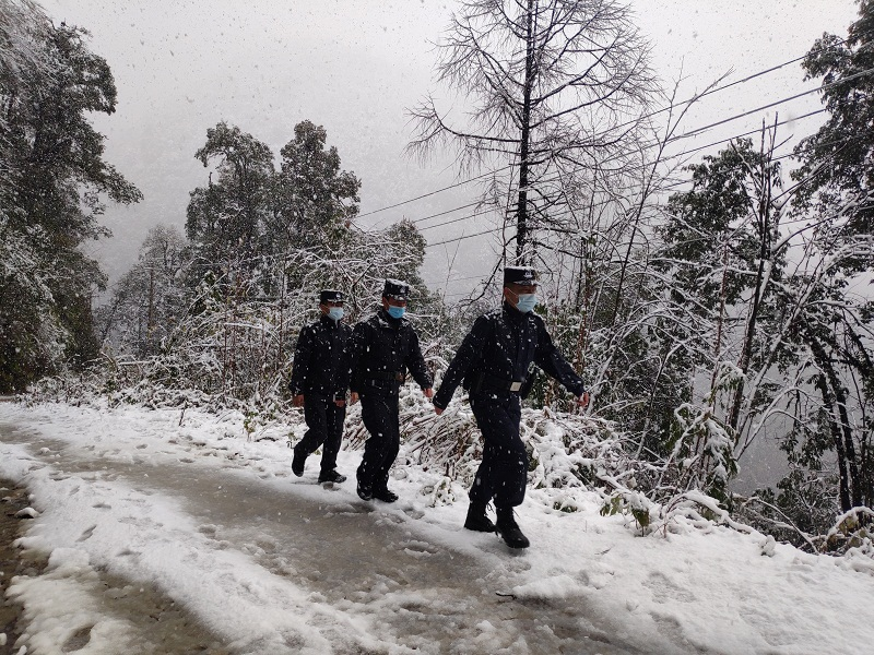 图片 3.png 图片 3.png