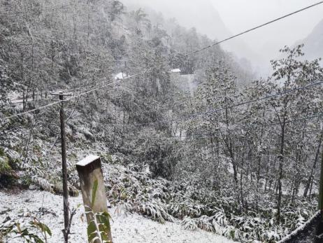 图片 1.png 图片 1.png