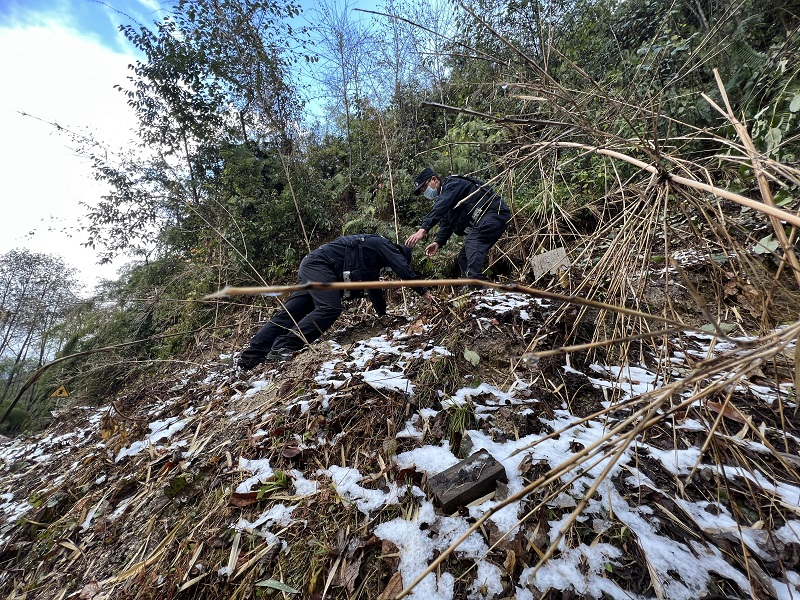 图片 2.png 图片 2.png