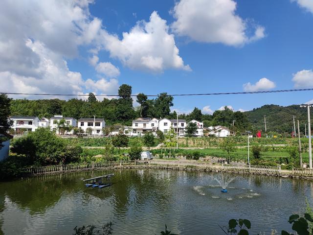 新闻1-1.jpeg 新闻1-1.jpeg