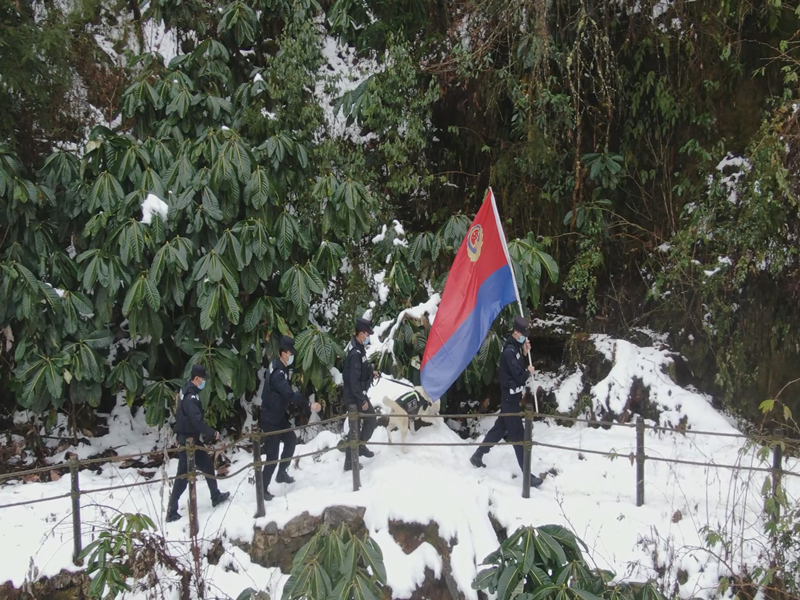 图片 4.png 图片 4.png