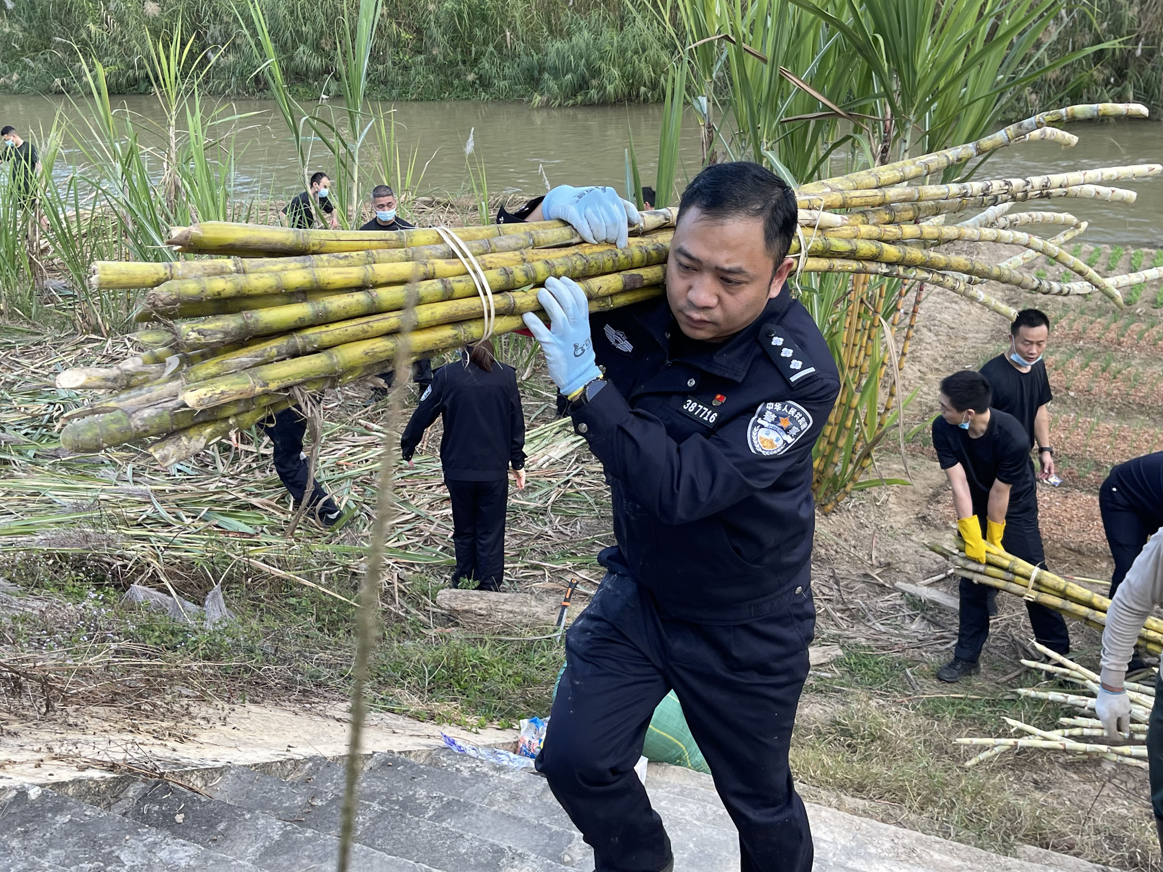 民警帮助驻地群众收割甘蔗 (14).jpg