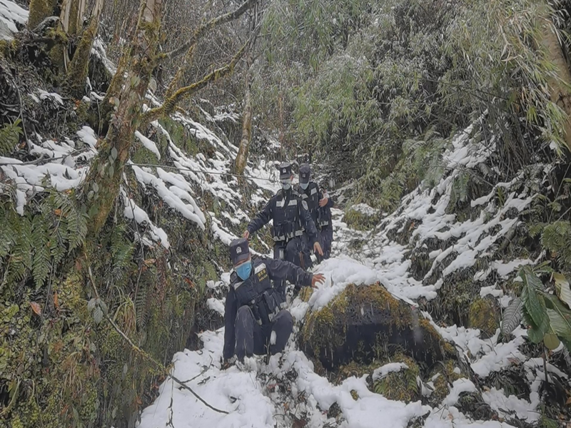 图片 3.png 图片 3.png