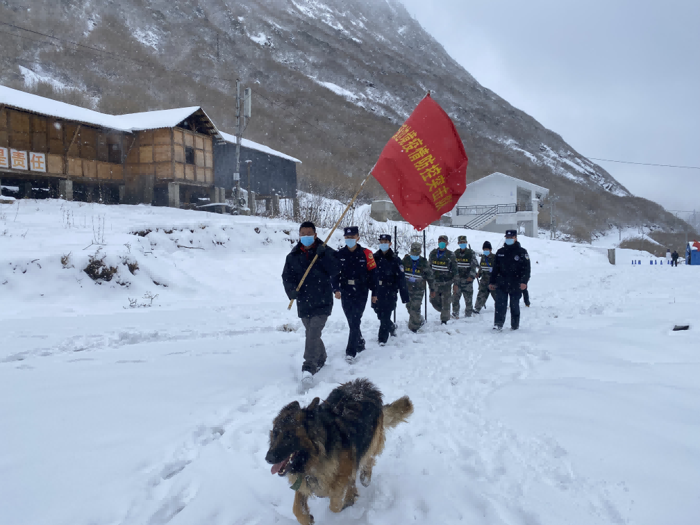 图片 5.png 图片 5.png