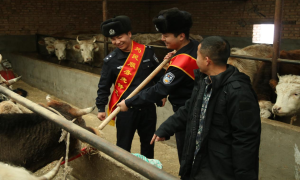 飘荡在群众心间的一抹红