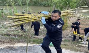 助农收割解民忧 “蔗”里有我您放心
